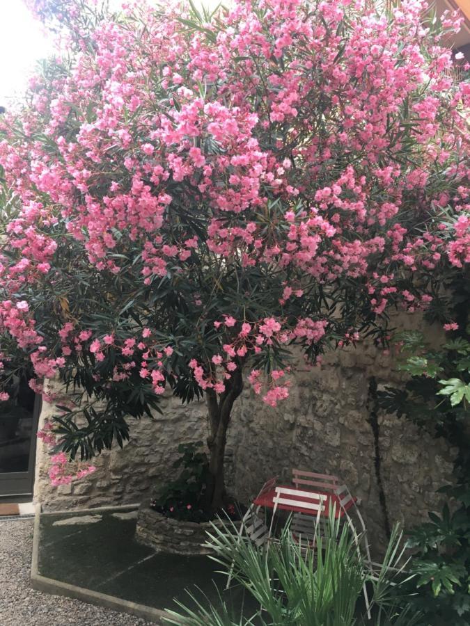 Chambre Sur Jardin Secret - Avignon Centre - Climatisee Ngoại thất bức ảnh